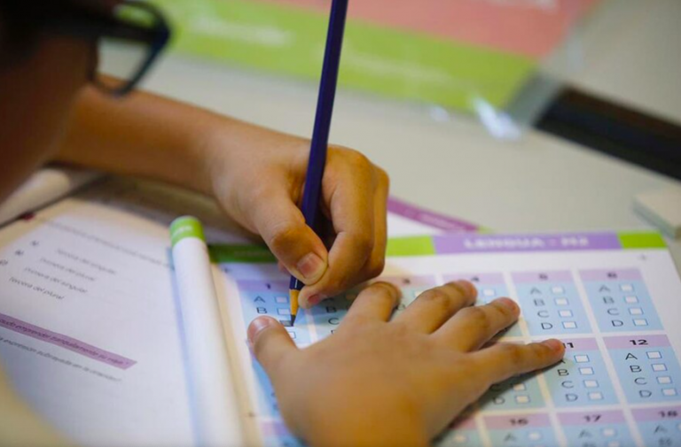 Ayuda Escolar Anual de Anses 2021